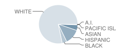 Classical Academy High Student Race Distribution