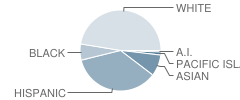 James C. Enochs High School Student Race Distribution