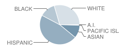 Iron House Elementary School Student Race Distribution