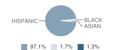 Ignacio L. Lopez School Student Race Distribution