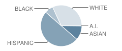 Judson & Brown Elementary School Student Race Distribution