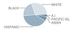 East Bay Arts High School Student Race Distribution