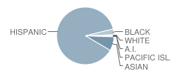 Young Oak Kim Academy Student Race Distribution