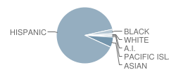 New Open World Academy Student Race Distribution