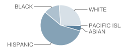 Daniel Pearl Journalism & Communications Magnet School Student Race Distribution