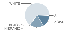 Stevenson School Student Race Distribution