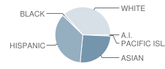 Ada Clegg Elementary School Student Race Distribution