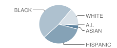 Mt. Mckinley School Student Race Distribution