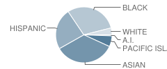 Fairbanks Elementary School Student Race Distribution