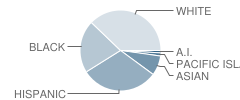 Foothill High School Student Race Distribution