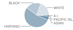 D. W. Babcock Elementary School Student Race Distribution