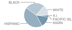 Michael J. Castori Elementary School Student Race Distribution