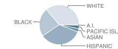 Warren A. Allison Elementary School Student Race Distribution