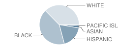 Delta Academy for the Performing Arts Student Race Distribution