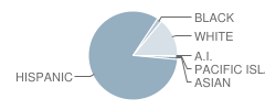 Shadow Hills High School Student Race Distribution