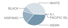 Sunrise Elementary School Student Race Distribution