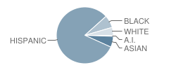 Kathy Binks Elementary School Student Race Distribution