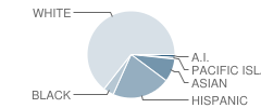 Liberty Charter School Student Race Distribution