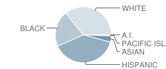 California City High School Student Race Distribution