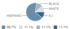 San Diego Neighborhood Homeschools Student Race Distribution