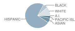 Cesar Chavez Middle School Student Race Distribution