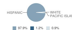 Walnut Grove School Student Race Distribution