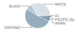 Mesa View Elementary School Student Race Distribution