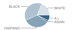 Stockton Intermediate Alternative School Student Race Distribution