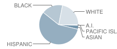 West Palms Conservatory School Student Race Distribution