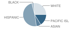 North Community School Student Race Distribution