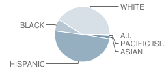 Sultana High School Student Race Distribution