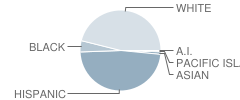 Mesa Grande Elementary School Student Race Distribution