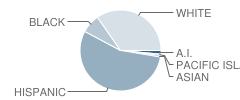 Carmel Elementary School Student Race Distribution