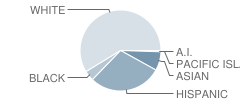 Valencia Elementary School Student Race Distribution