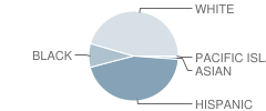 Mariana Elementary School Student Race Distribution