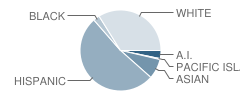 Vail Elementary School Student Race Distribution