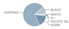 Tovashal Elementary School Student Race Distribution