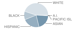 Natomas Charter #19 School Student Race Distribution