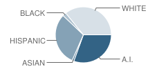 Warner Elementary School Student Race Distribution