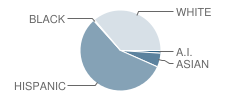 Mill Street Elementary School Student Race Distribution