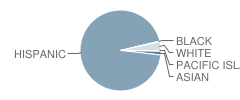 Fairview Middle School Student Race Distribution