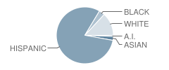 Central Elementary School Student Race Distribution