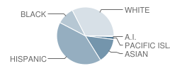 Louis A. Bohn Elementary School Student Race Distribution