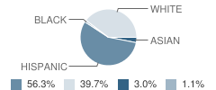 Sycamore Middle School Student Race Distribution