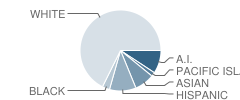 Grant Elementary School Student Race Distribution