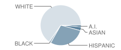 Fair Oaks Elementary School Student Race Distribution