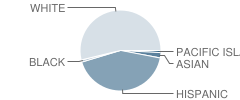 Waterford High School Student Race Distribution