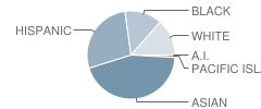 Bragg Elementary School Student Race Distribution