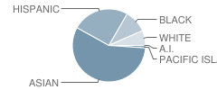 Cecil B. Stowers Elementary School Student Race Distribution