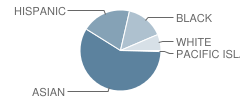 Helen Wittmann Elementary School Student Race Distribution